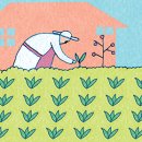 클래식 정원 이미지