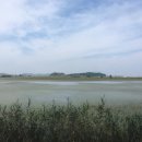 서검낚시터 이미지