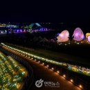 테라미디어