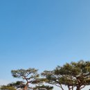 아이와 대구에서 SRT 타고 경주여행 _ 첨성대, 동궁과 월지, 대릉원