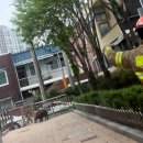 대구인지초등학교 이미지