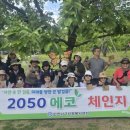 서구자원봉사센터 웹이코노미