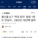 한국 출생률 0.7퍼 진입한거 진짜 개같이 기쁜 달글 이미지