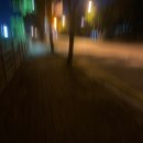 대덕-돌머리해수욕장 가로수 | 방학 방구