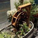 (주)장안 | [맛집]장안제일 (태평동 맛집으로 인정! 양념갈비맛있어요!😊)