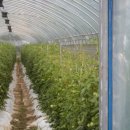 승곡마을 이미지