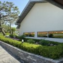 솔리,자운 이미지