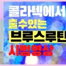 사교댄스 (브루스,지루박) 초급 이미지