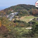 구천슈퍼 | 위믹스 챔피언십 2025 골플루언서 도티그 직관후기 마우나오션cc 황유민선수 ~