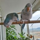 인천조류원 이미지