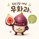홍집농장 | 장보고팜-해남 당일수확 무화과 홍무화과 2KG 후기 🍈