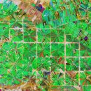 (주)삼림 이미지