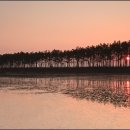 운여해변 이미지