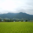 백신1리 이미지