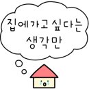 피스오브피스 이미지