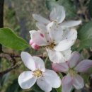 선재농장 이미지