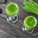 먹고보리 이미지