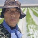 더덕쟁이 이미지