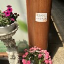 휴테라피 이미지