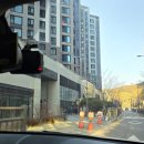 댕며들개 이미지