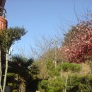 녹천식당 이미지