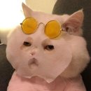 네일또바영 | 우린 끝없이 새로운 일들을 겪고서