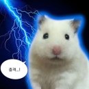 윤네일오브제 | 6월은 꽤나 더워