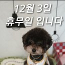 개꿀이발소 이미지