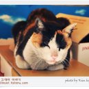 구리수퍼 이미지