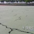 포항인라인롤러경기장 이미지