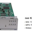 MOBEX 이미지