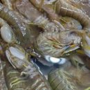 설문스파랜드 이미지