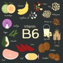 비타민 PC 이미지