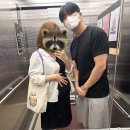 사랑해차의원 | [루트여성의원] 38w 1d / 김나연원장님 / 준특실 / 제왕절개 1일차후기 - 박꿀쨈 지구도착!