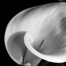 조형과 운동 이미지