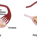 미소진한의원 이미지