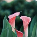 동남행정사무소 이미지