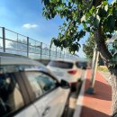 칠일석쇠구이 이미지