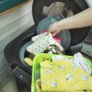 플러스세탁 이미지