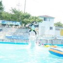 팔공테마리조트 이미지