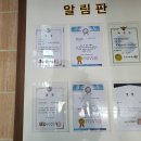 용인대 평내 태권도장 이미지