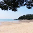 솔향기길야영장 이미지