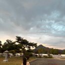 비움박물관 | 벌써 올해가 2달 남았다고?!!ꕤ*.°(경복궁, 고궁박물관, 새로 생긴 비움안국 후기♥)