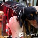 두암동물병원 이미지