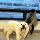 옥정숲속어린이집 이미지