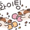 마벨Mabell