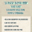 파티앤돌