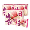 봄을 담은 딸기