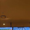 대신도서관 | [230131][서울/명동] 남산도서관 대신 코끼리볼링장 후기