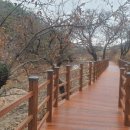 솔내음누리길 화장실 이미지